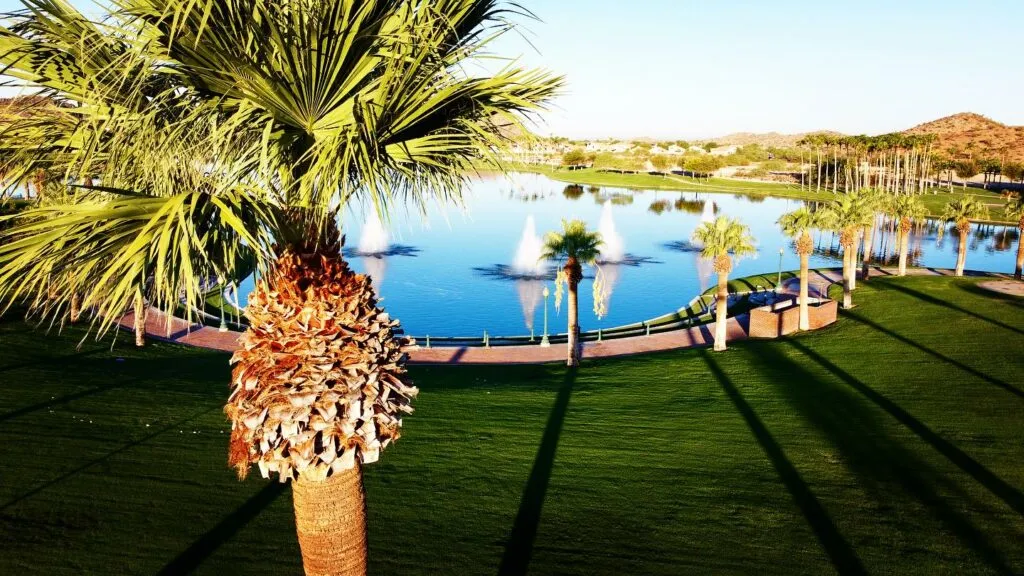 Pool service in Goodyear AZ